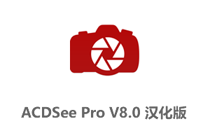 ACDSee Pro 8 汉化精简安装版